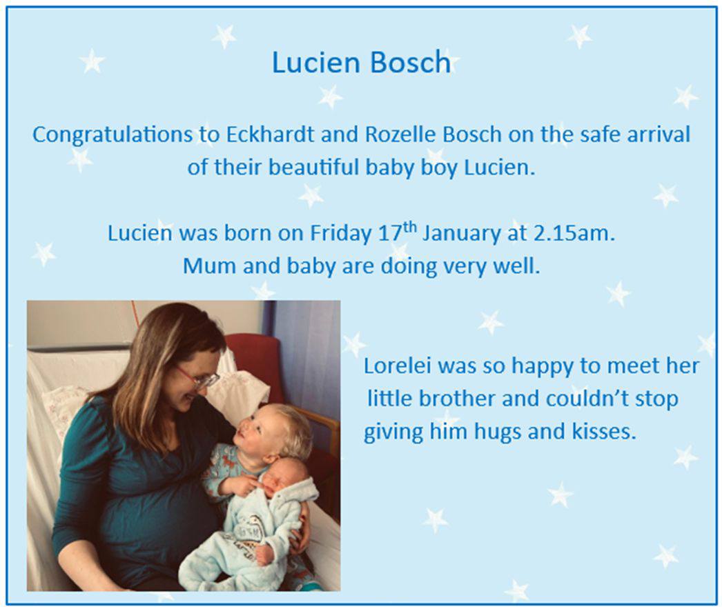 bosch baby